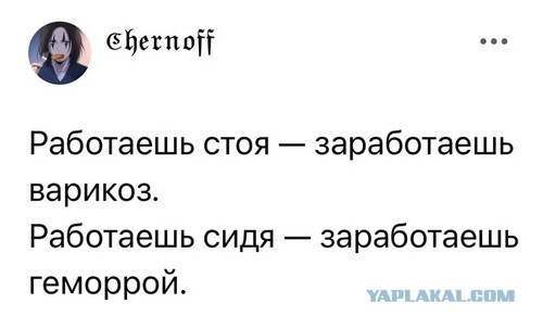 Веселое настроение в картинках (25.07.2025)