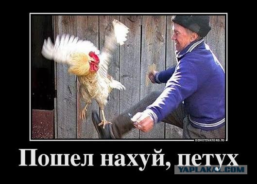 С Киркорова хотят взыскать ₽12 млн из-за задолженности по кредиту