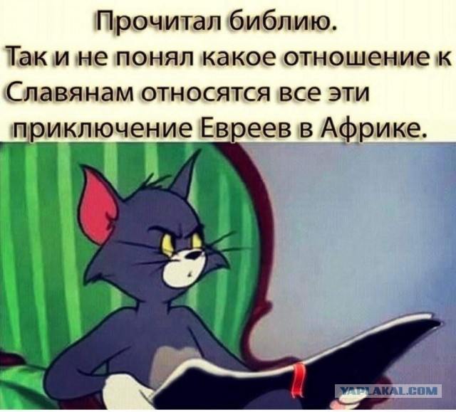Отсутствие морально этических норм Vol.66