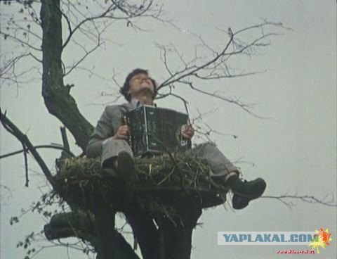 Просматривая инкубатор на ЯПе