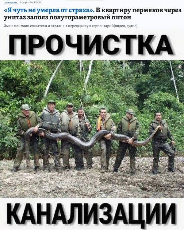 У девушки в руках: два больших и толстых