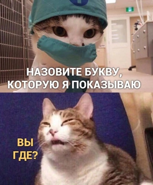 Сегодня отмечается День плохого зрения