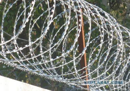 Егоза, думал летать можно, сам убился ещё и пассажира убил