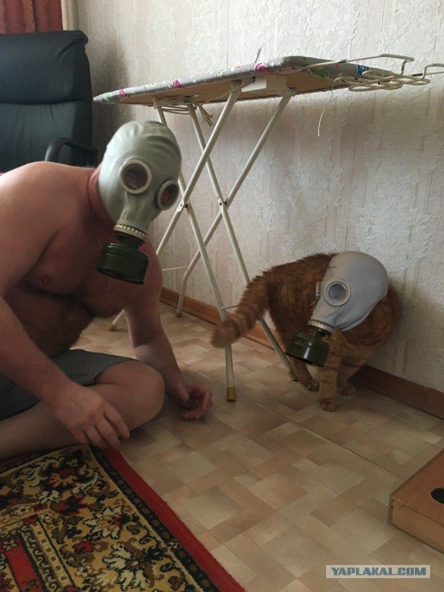 Россиянам предоставят право на покупку противогаза