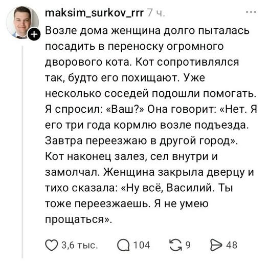 Так себе картинки 22.10.26