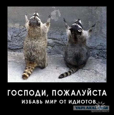 Психанула