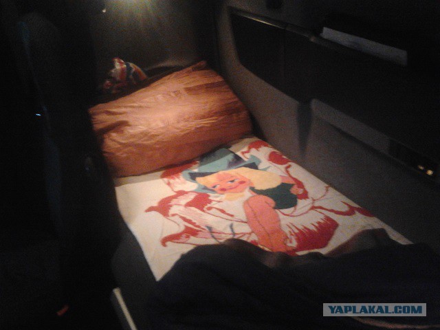 Где яблоки растут!