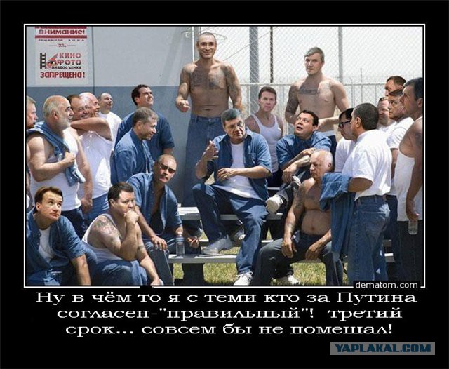 Для вора в законе за решеткой построили бассейн,