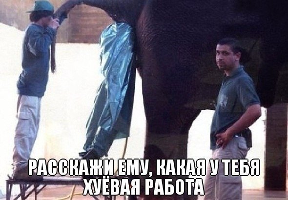 Веселые картинки № х/з