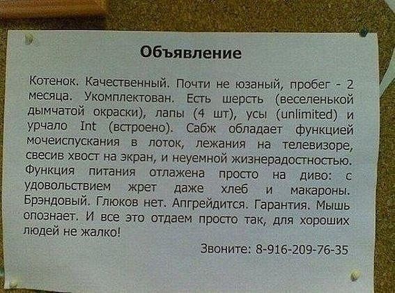 Позитивные картинки и комментарии.