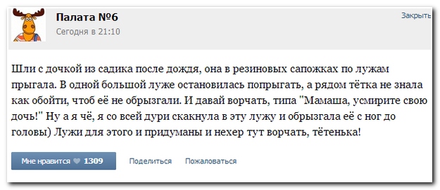 Смешные комментарии из соц.сетей