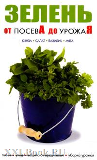 Добряки, плюсующие всех подряд