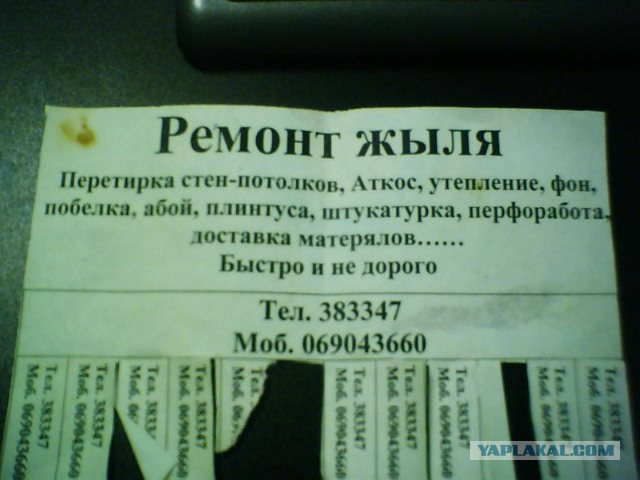 Объявления, анонсы из сети.