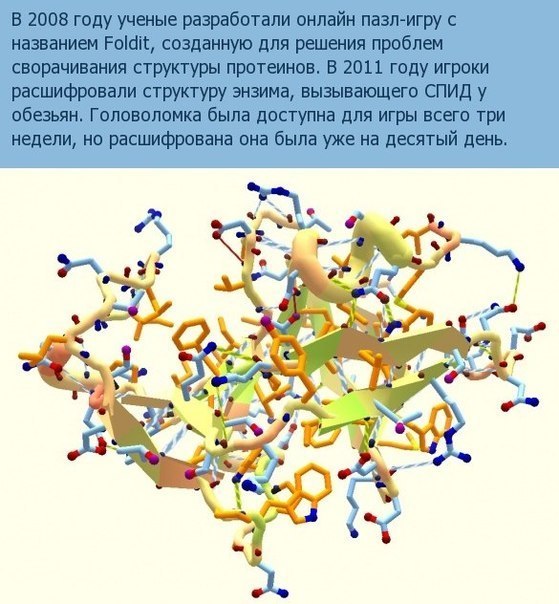 Немного интересных фактов