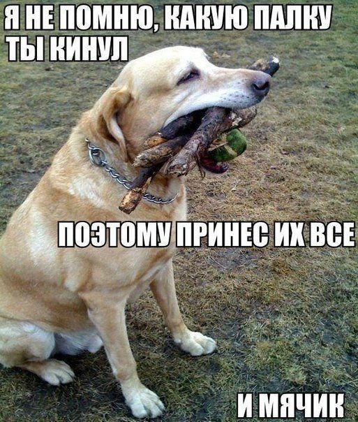 Немного позитива на пятницу