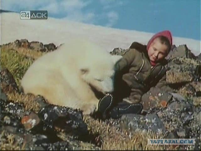 Белых медведей пост.