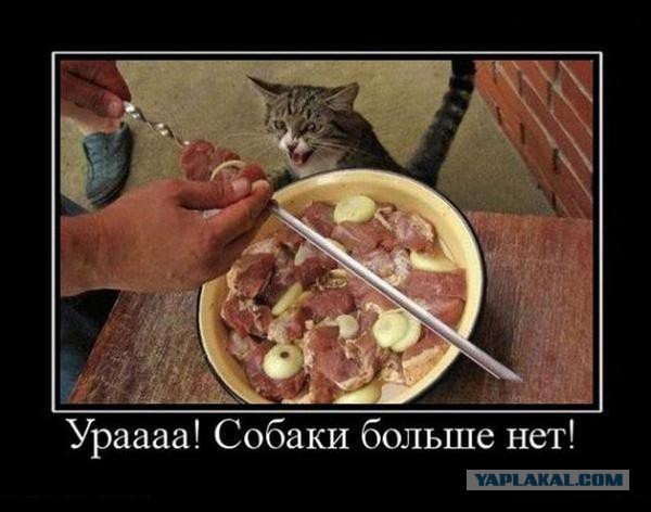 Немного позитива на пятницу