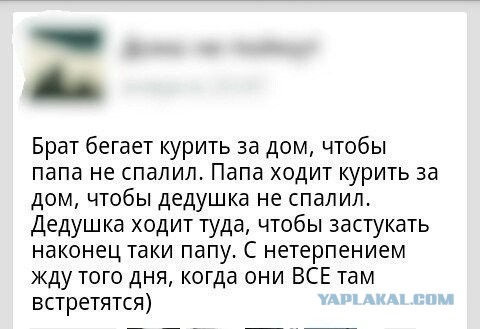 Не знаю, как назвать. Из соцсетей