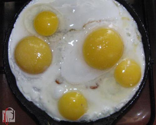 Коричневые и белые яйца