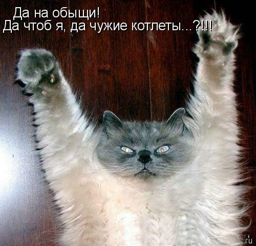 Подборка демотиваторов