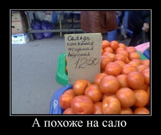 Подборка демотиваторов