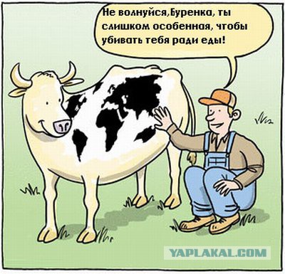 Пионеры доят коня картинка