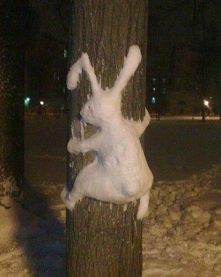 Животные — гении камуфляжа