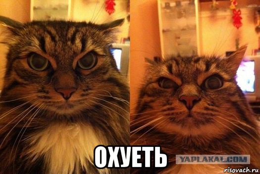 Митинг оппозиции за ИГИЛ