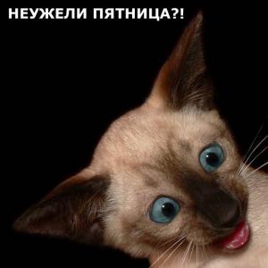 Картинки на пятницу