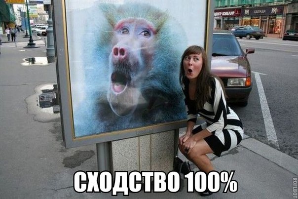 Позитив на воскресенье