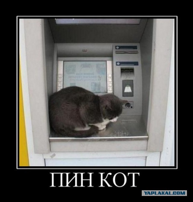 Однажды у банкомата...