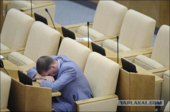 Прогульщики и тунеядцы Государственной Думы в панике