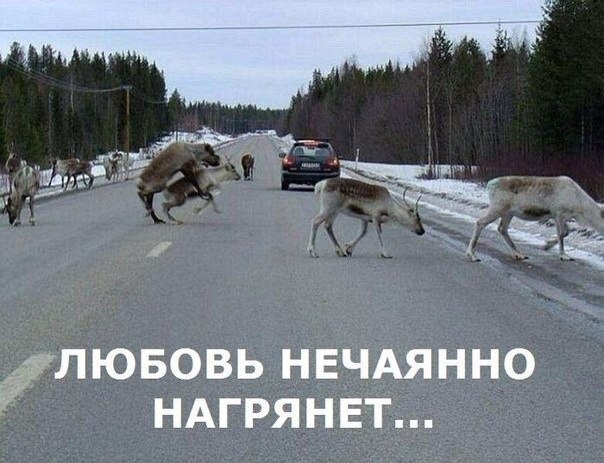 Странный юмор на пятницу.