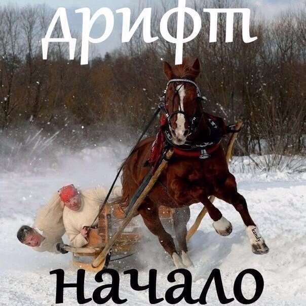 Порция картинок
