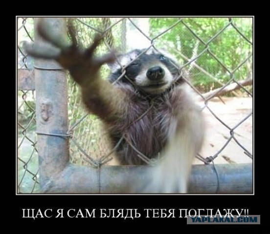 Немного картинок и демотиваторов