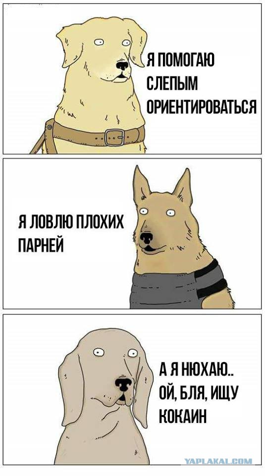 Картинки с анекдотами