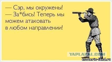 Подборка интересных и веселых картинок