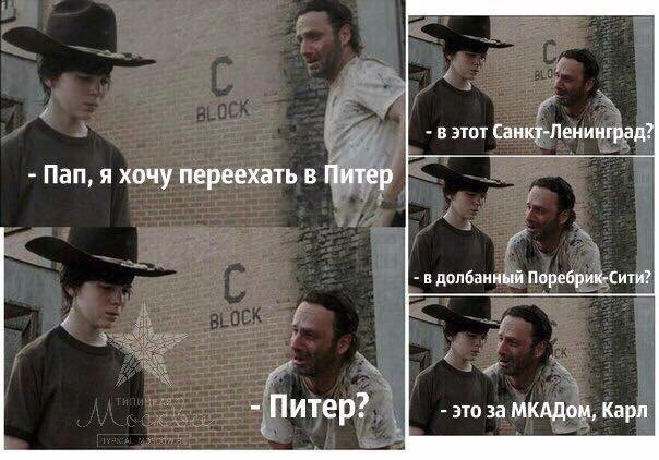 Питерские и околопитерские картинки