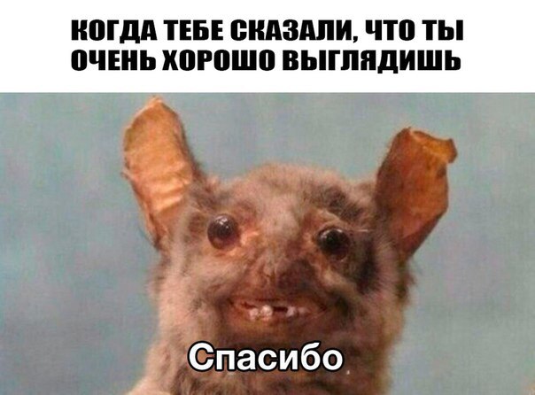 Деградируйте на здоровье
