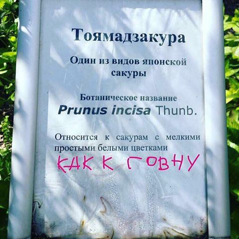 Идиотизм какой-то