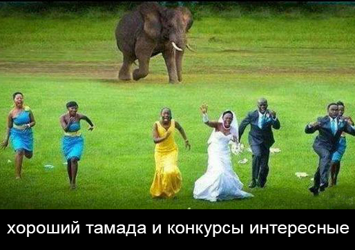Немного пятничного хаоса и чернухи