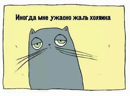 Приготовились?
