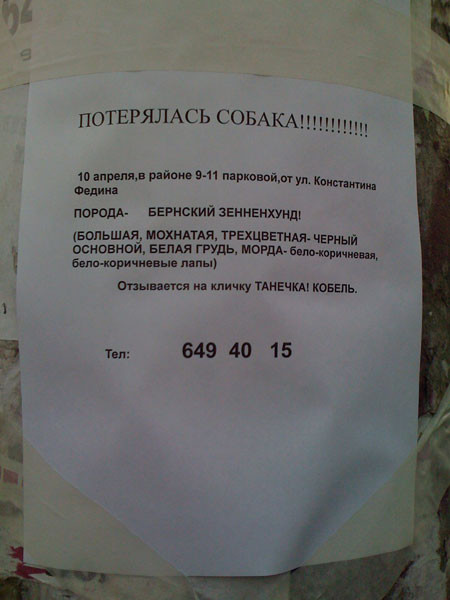 Центнер Идиотизма