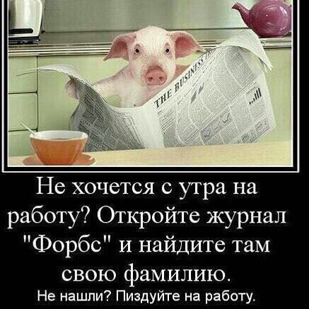Смешные комментарии из социальных сетей 08.12.2017