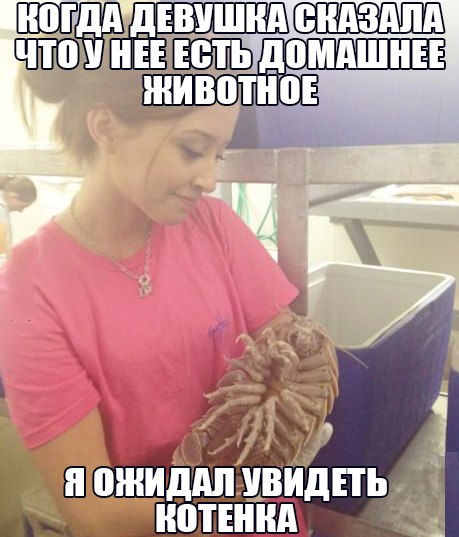 Антидепрессанты на понедельник.
