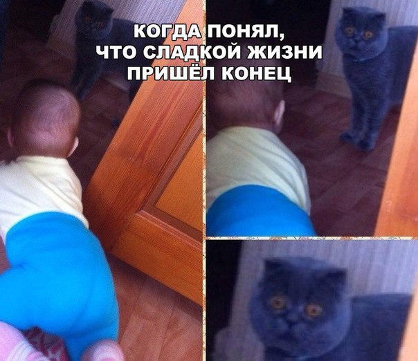 Немного веселых картинок для пятничного настроения