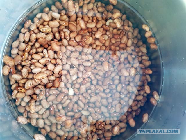 Кулинары поздравляют ЯП с днём рождения!