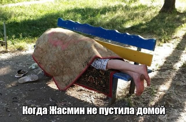 Сборная солянка из смешных картинок на воскресенье