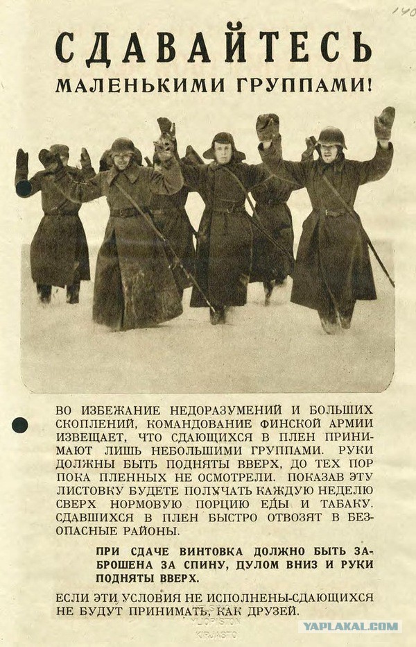 Сдай соседа: власти развешивают листовки с просьбой сообщать о самозанятых людях