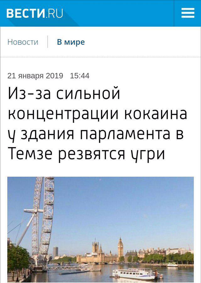 Анекдоты, соц-сети и картинки с надписями